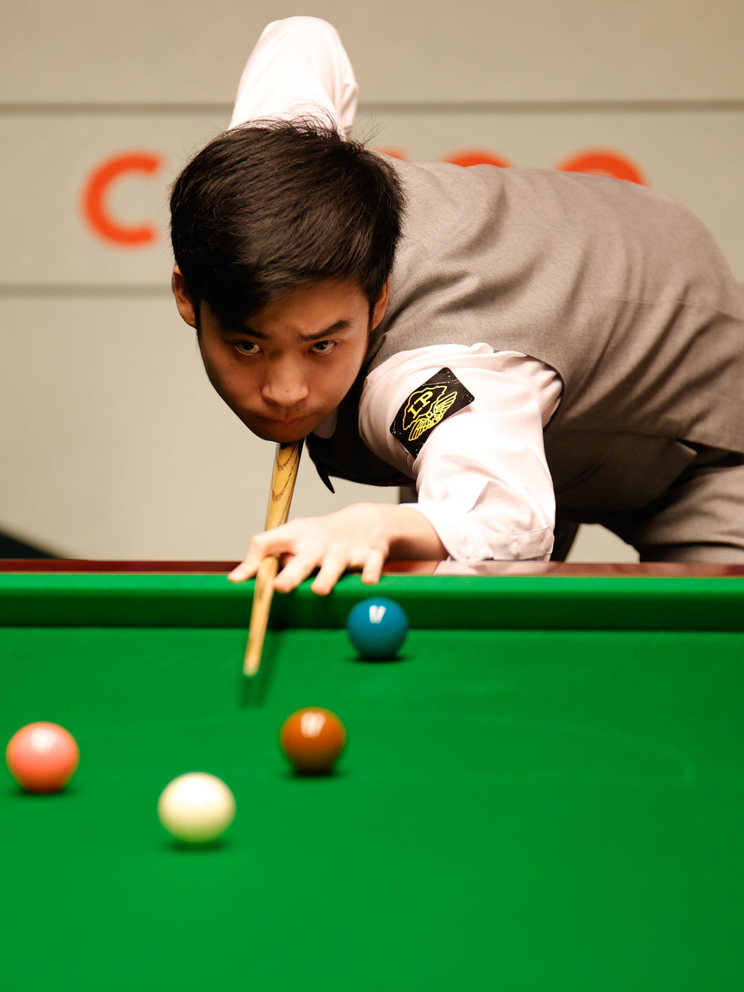 欣瑜作为年 欣瑜作为年